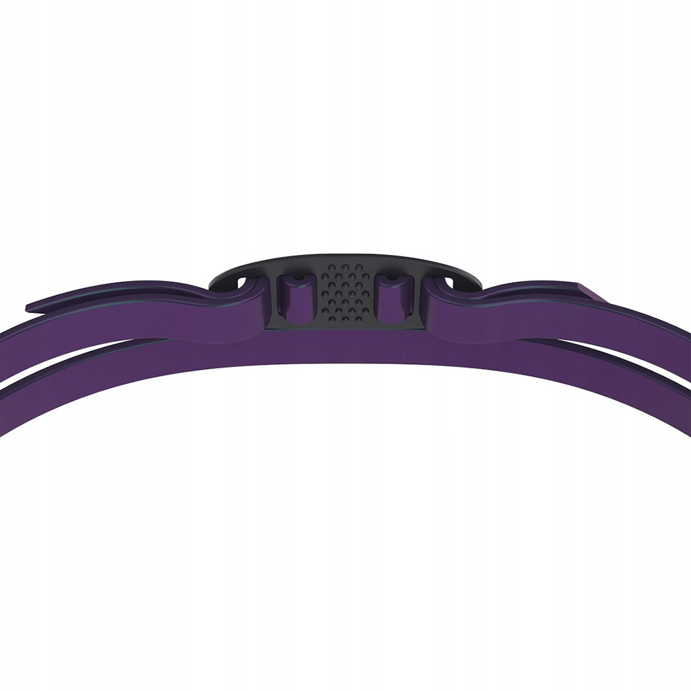 Очки для плав. SPEEDO Vanquisher 3.0 Mirrored, 8-00473700334, ЗЕРКАЛЬНЫЕ линзы, фиолетовая оправа